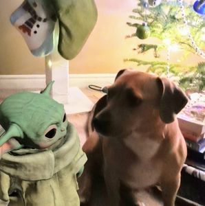 Meet your Posher, Erika